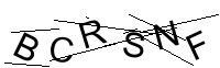 Security Captcha