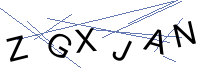 Security Captcha