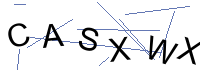 Security Captcha