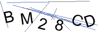 Security Captcha