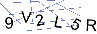 Security Captcha