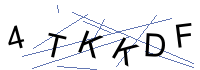 Security Captcha