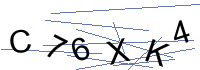 Security Captcha