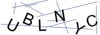 Security Captcha