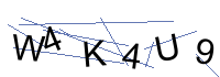 Security Captcha