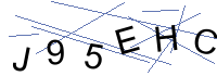 Security Captcha