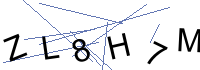 Security Captcha