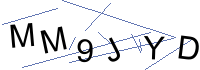 Security Captcha