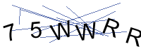 Security Captcha