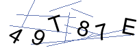 Security Captcha