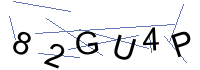 Security Captcha