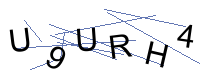 Security Captcha