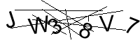 Security Captcha