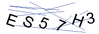Security Captcha