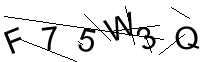 Security Captcha