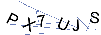 Security Captcha