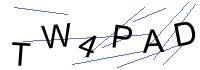 Security Captcha