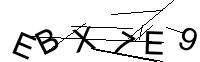 Security Captcha