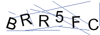 Security Captcha