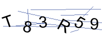 Security Captcha