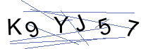Security Captcha