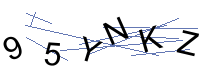 Security Captcha