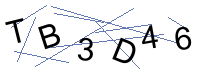 Security Captcha