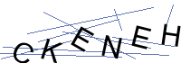 Security Captcha