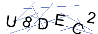 Security Captcha