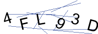 Security Captcha