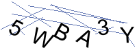 Security Captcha