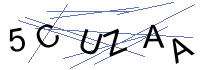 Security Captcha