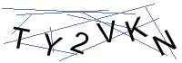 Security Captcha