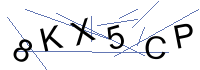 Security Captcha