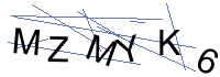 Security Captcha